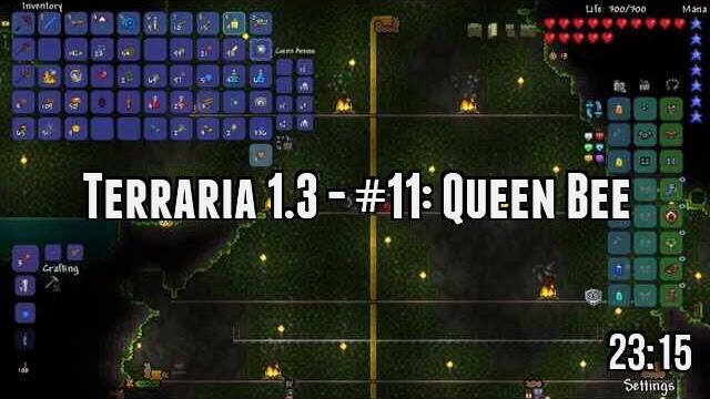 Terraria 1.3 - #11: Queen Bee