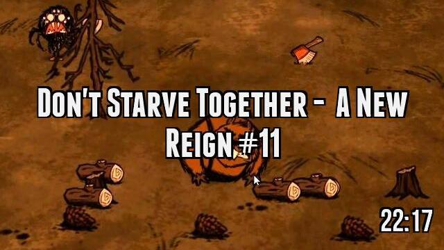 Don't Starve Together -  A New Reign #11