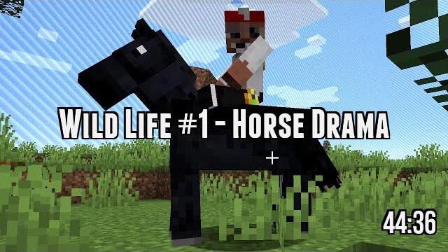 Wild Life #1 - Horse Drama