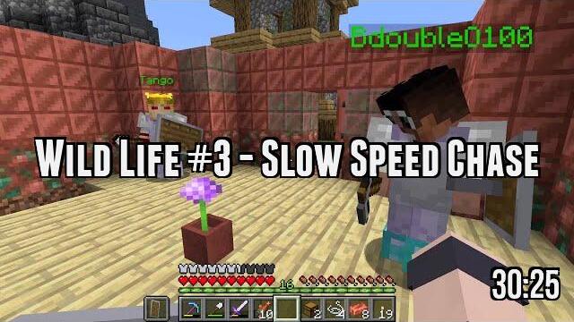 Wild Life #3 - Slow Speed Chase